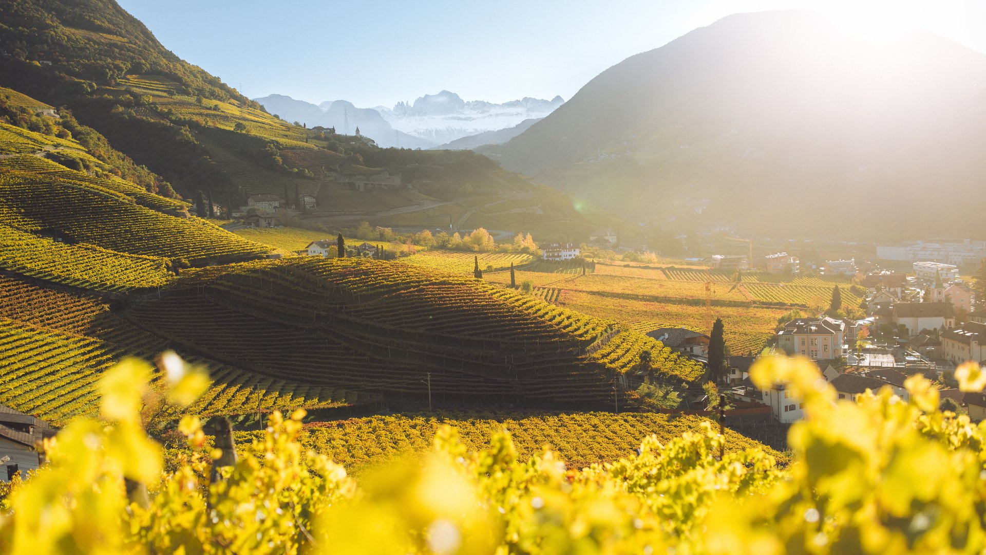 La vostra vacanza a Bolzano La vostra vacanza a Bolzano