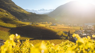 La vostra vacanza a Bolzano La vostra vacanza a Bolzano
