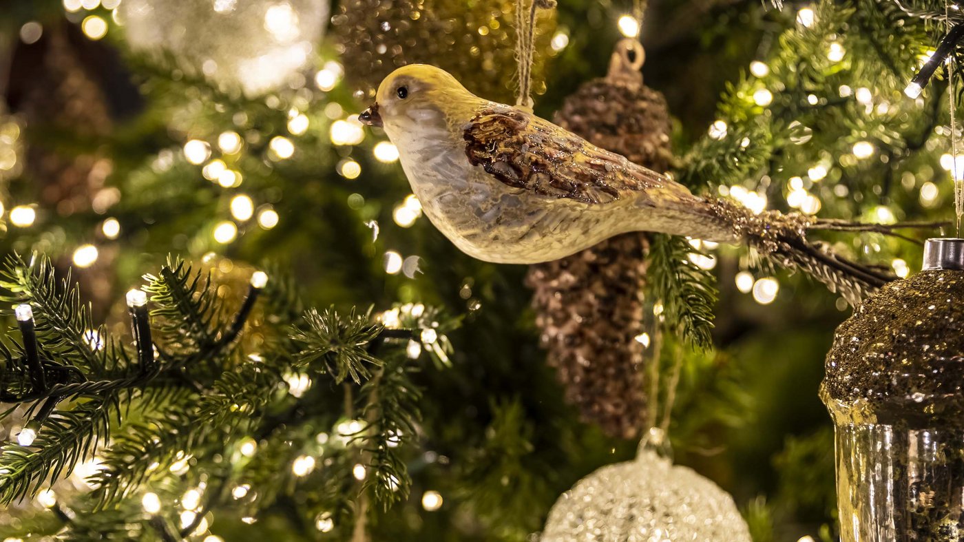 Bilder aus dem Hotel Magdalener Hof in Bozen Bilder aus dem Hotel Magdalener Hof in Bozen