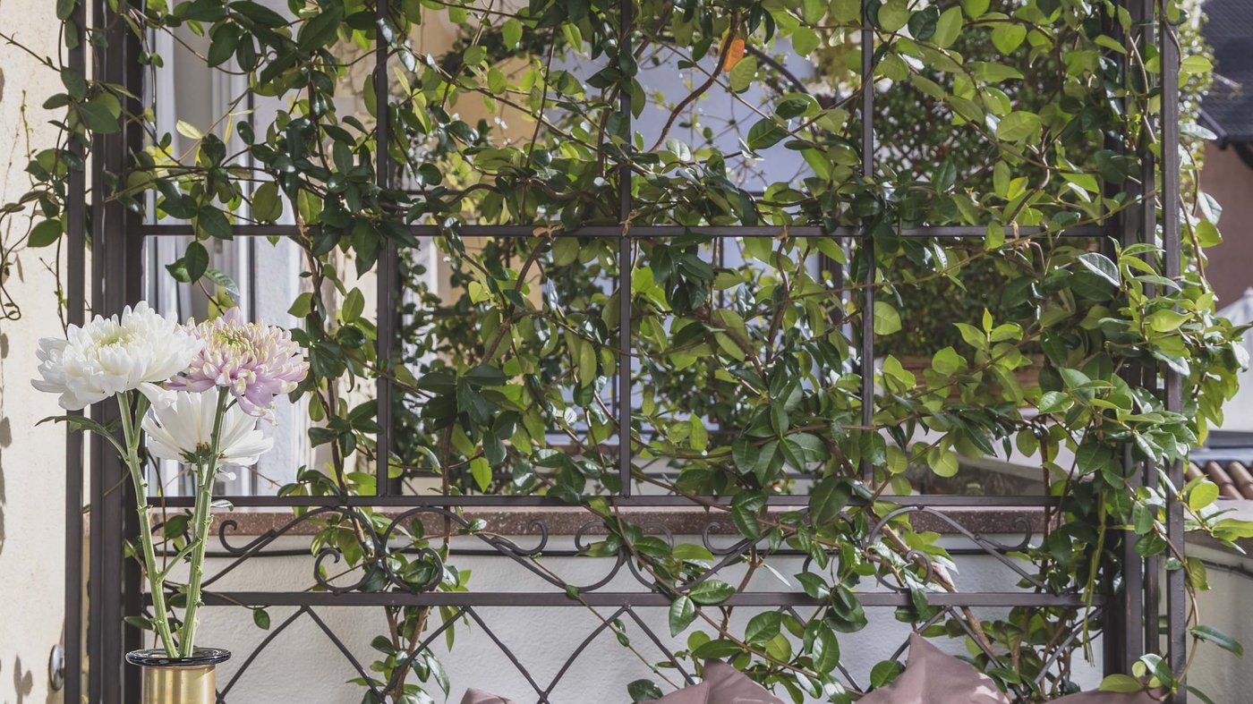 Bilder aus dem Hotel Magdalener Hof in Bozen Bilder aus dem Hotel Magdalener Hof in Bozen