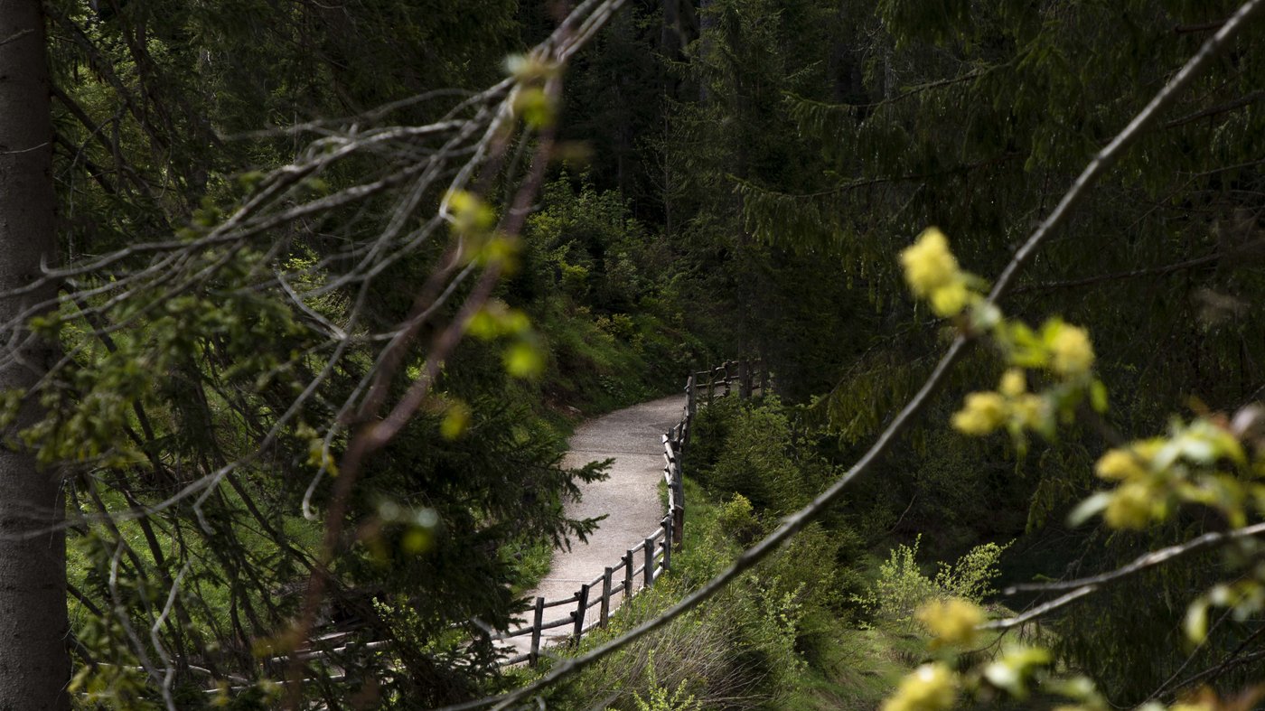 Pictures from Hotel Magdalener Hof in Bolzano Pictures from Hotel Magdalener Hof in Bolzano