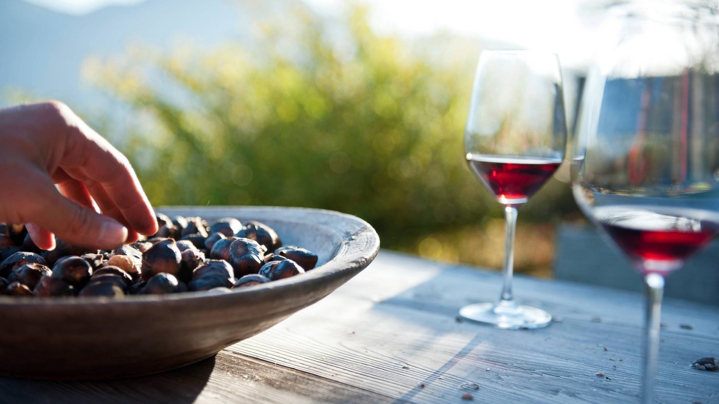 Pictures from Hotel Magdalener Hof in Bolzano Pictures from Hotel Magdalener Hof in Bolzano