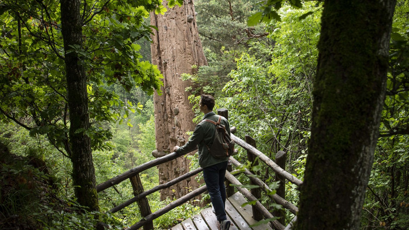 Pictures from Hotel Magdalener Hof in Bolzano Pictures from Hotel Magdalener Hof in Bolzano