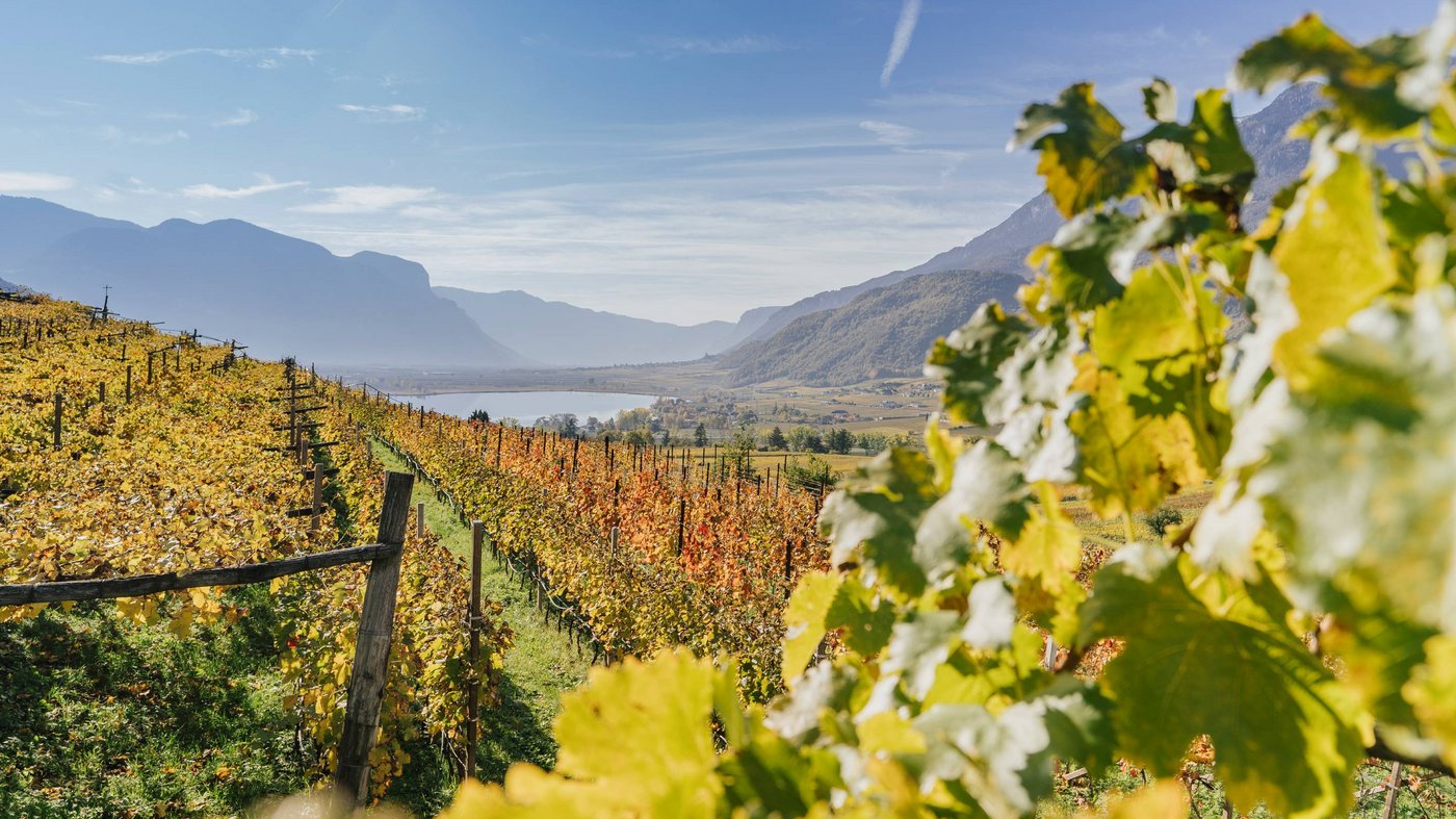 Pictures from Hotel Magdalener Hof in Bolzano Pictures from Hotel Magdalener Hof in Bolzano